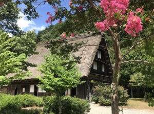 Shirakawa-go in mid-summer