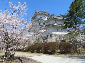 Iga-Ueno Castle