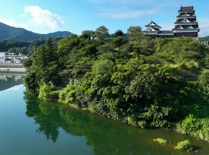 Ozu Castle