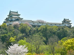 Nijo Castle