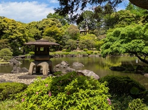 Kyu-Furukawa Gardens
