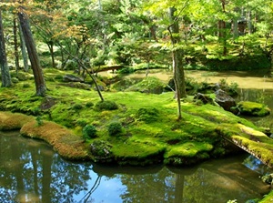 Garden in Saihoji