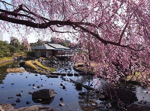 Shirotori Garden