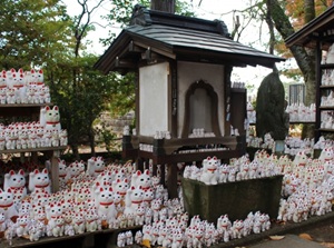 Maneki-neko in Gotokuji