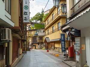 Yudanaka-Shibu Onsen towns