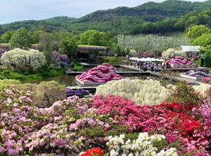 Ashikaga Flower Park