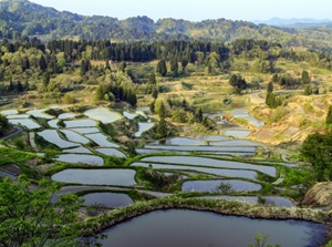 Hoshitoge Rice Terrace