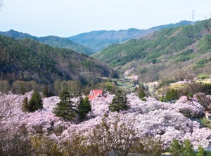 Takato Castle Ruins Park