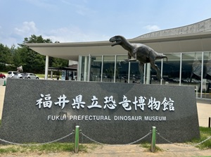 Dinosaur Museum
