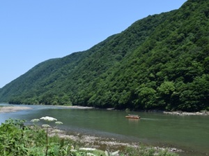 Mogami River