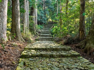 Kumano Kodo