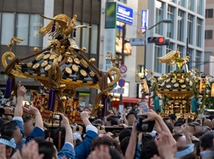 Mikoshi in Sanja Festival in Tokyo