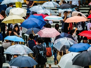 Umbrellas on rainy day