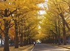 Campus of Hokkaido University