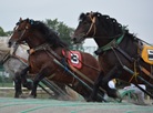 Obihiro Banei Horse Racing