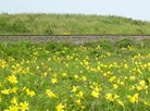 Lake Tofutsu