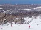 Niseko Ski Resort