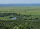 Kushiro Marsh