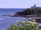 Cape Nosappu