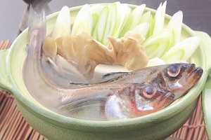 Shottsuru-nabe