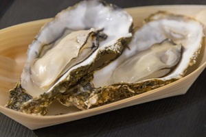 Oysters