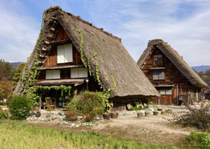 Thatched-roof houses