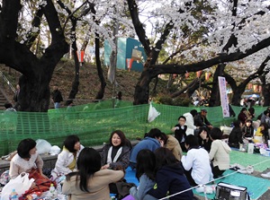 Ueno Park in Tokyo