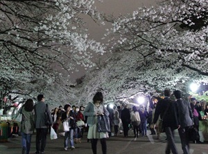 Ueno Park in Tokyo