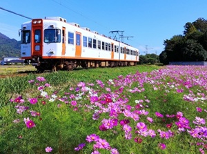 Ichibata Electric Railway