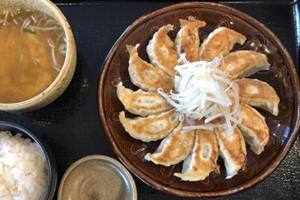 Hamamatsu Gyoza