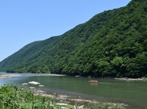 Mogami River